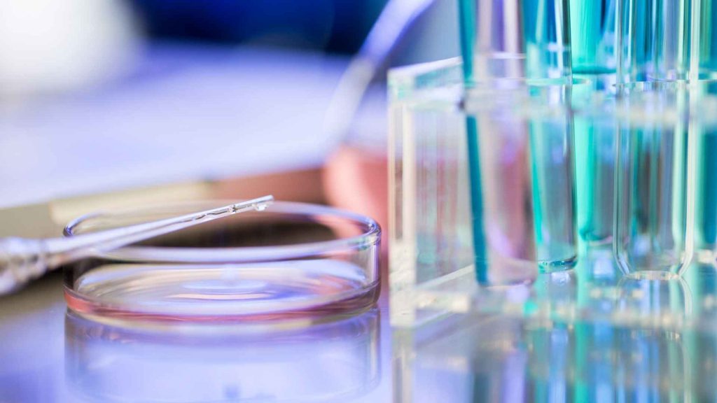 research services for the development of drugs and medical