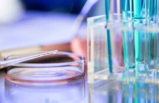 research services for the development of drugs and medical2